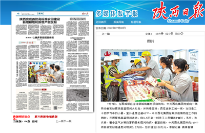 人生就是搏西北集团珑樾府项目高温慰问——《陕西日报》